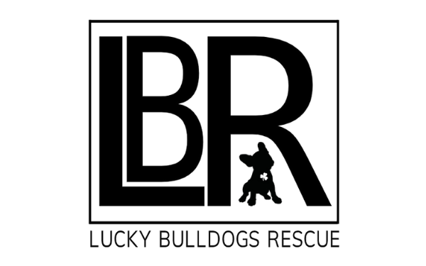 Lucky Bulldogs Rescue - Rescue of the Month, February 2020