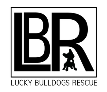 Lucky Bulldogs Rescue - Rescue of the Month, February 2020
