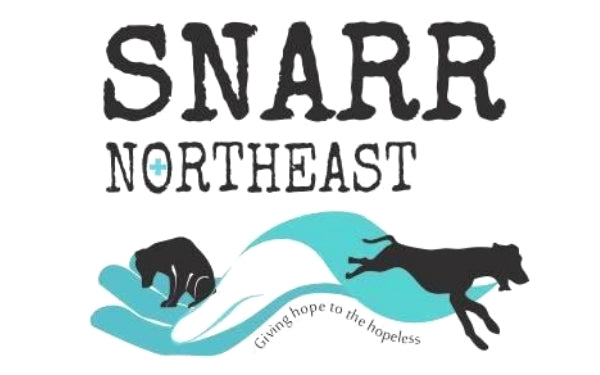 SNARR Northeast - Rescue of the Month, December 2018
