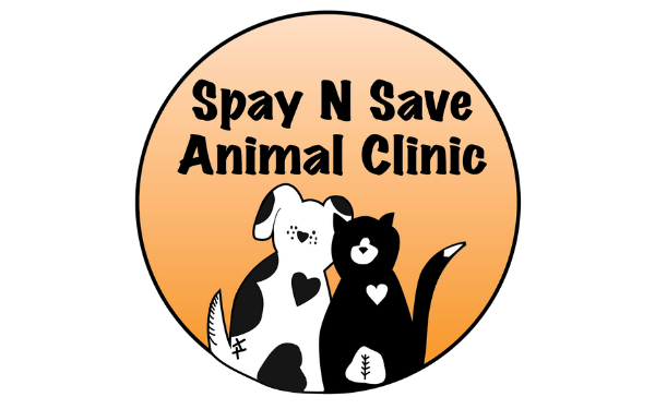Spay N Save - Rescue of the Month, April 2019